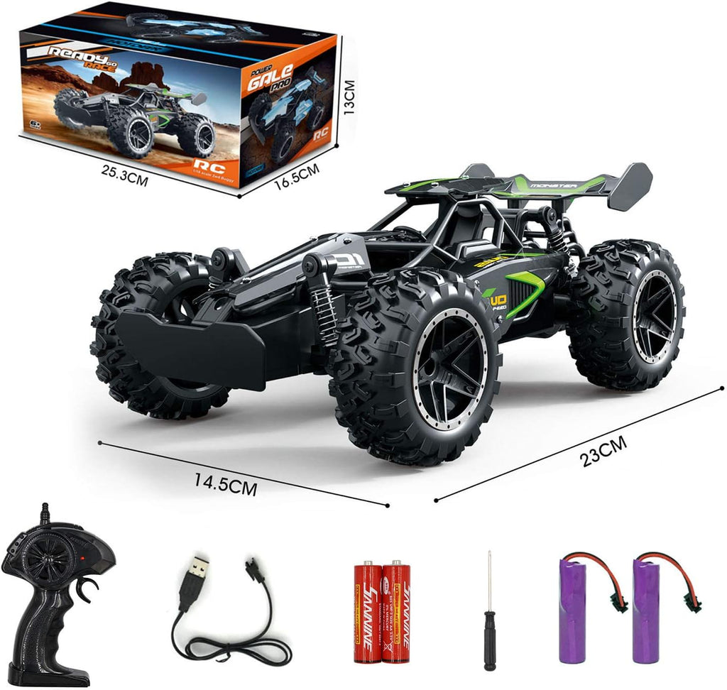 Dodomagxanadu 1/18 Scale 2.4GHz Monster RC Truck Off Road Crawler